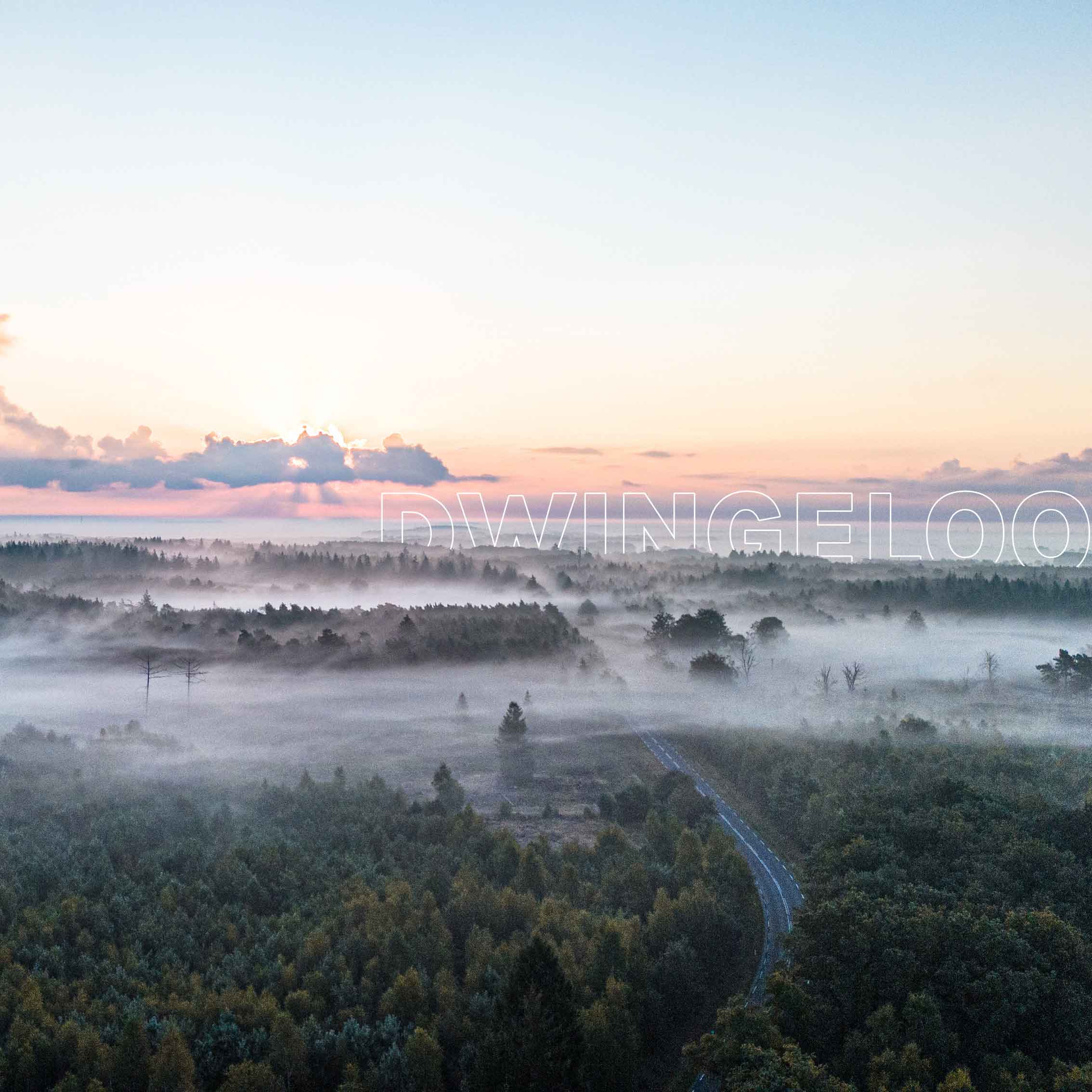 Van Ditshuizen Makelaardij O.G.
